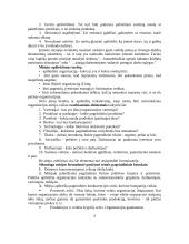 Verslo planavimo ir organizavimo paskaitų medžiaga 3 puslapis