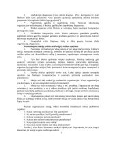 Verslo planavimo ir organizavimo paskaitų medžiaga 4 puslapis