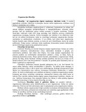 Verslo planavimo ir organizavimo paskaitų medžiaga 5 puslapis
