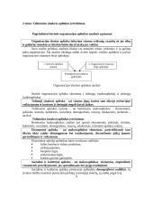 Verslo planavimo ir organizavimo paskaitų medžiaga 8 puslapis