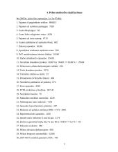 2007 metų mokestinė atskaitomybė: UAB "Saulė" 5 puslapis