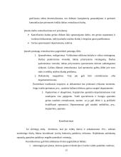 Administratoriaus vaidmuo įmonės organizavime 13 puslapis