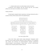 Administratoriaus vaidmuo įmonės organizavime 14 puslapis