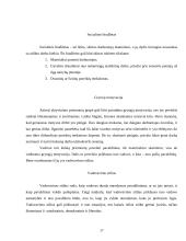 Administratoriaus vaidmuo įmonės organizavime 17 puslapis