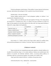 Administratoriaus vaidmuo įmonės organizavime 6 puslapis