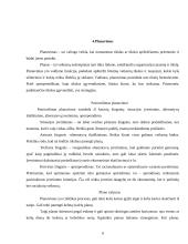 Administratoriaus vaidmuo įmonės organizavime 9 puslapis