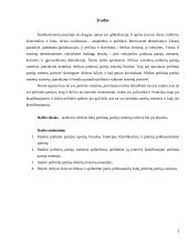 Afrikos politinių partijų sistemos 3 puslapis