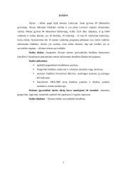 Alytaus miesto savivaldybės biudžeto formavimas 2 puslapis