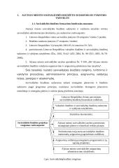 Alytaus miesto savivaldybės biudžeto formavimas 3 puslapis