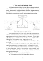 Alytaus miesto savivaldybės biudžeto formavimas 5 puslapis