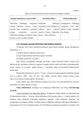 Alkoholizmo problema paauglystėje 12 puslapis