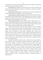 Alkoholizmo problema paauglystėje 13 puslapis