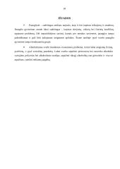 Alkoholizmo problema paauglystėje 17 puslapis