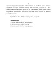 Alkoholizmo problema paauglystėje 4 puslapis