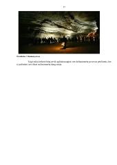 Aplinkosauginis (ekologinis) turizmas Šiaurės Amerikoje 17 puslapis