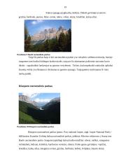 Aplinkosauginis (ekologinis) turizmas Šiaurės Amerikoje 19 puslapis