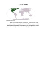 Aplinkosauginis (ekologinis) turizmas Šiaurės Amerikoje 9 puslapis