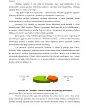 Aprūpinimo logistikos valdymas įmonėje: AB "Stumbras" 5 puslapis