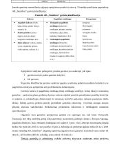 Aprūpinimo logistikos valdymas įmonėje: AB "Stumbras" 8 puslapis