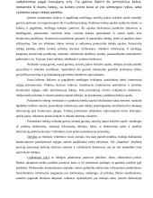 Aprūpinimo logistikos valdymas įmonėje: AB "Stumbras" 9 puslapis