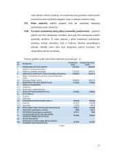 Apskaitos duomenų parengimas pelno (nuostolio) ataskaitai sudaryti 11 puslapis