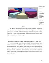 Apskaitos duomenų parengimas pelno (nuostolio) ataskaitai sudaryti 16 puslapis