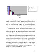 Apskaitos duomenų parengimas pelno (nuostolio) ataskaitai sudaryti 17 puslapis