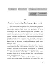 Apskaitos duomenų parengimas pelno (nuostolio) ataskaitai sudaryti 18 puslapis