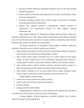 Atsargų įkainojimas, dokumentavimas ir apskaita UAB "Apdaila" 11 puslapis