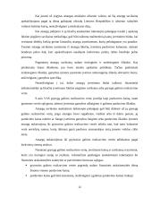 Atsargų įkainojimas, dokumentavimas ir apskaita UAB "Apdaila" 12 puslapis