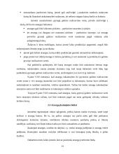Atsargų įkainojimas, dokumentavimas ir apskaita UAB "Apdaila" 13 puslapis