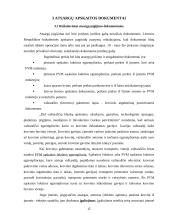 Atsargų įkainojimas, dokumentavimas ir apskaita UAB "Apdaila" 15 puslapis