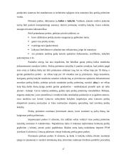 Atsargų įkainojimas, dokumentavimas ir apskaita UAB "Apdaila" 17 puslapis