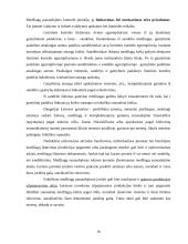 Atsargų įkainojimas, dokumentavimas ir apskaita UAB "Apdaila" 19 puslapis