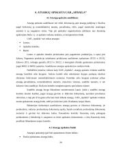 Atsargų įkainojimas, dokumentavimas ir apskaita UAB "Apdaila" 20 puslapis