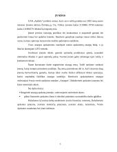 Atsargų įkainojimas, dokumentavimas ir apskaita UAB "Apdaila" 3 puslapis