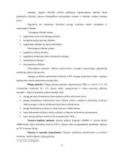 Atsargų įkainojimas, dokumentavimas ir apskaita UAB "Apdaila" 8 puslapis