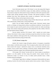 Atsargų valdymas: reklamos gamyba ir pardavimas UAB "Dasena" 17 puslapis