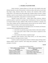 Atsargų valdymas: reklamos gamyba ir pardavimas UAB "Dasena" 4 puslapis