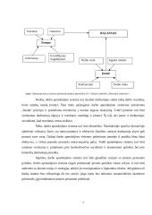 Atsiskaitymų su darbuotojais ir jų apskaita ikimokyklinio ugdymo įstaigose 7 puslapis