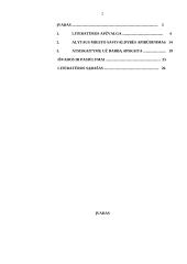 Atsiskaitymų už darbą apskaita Alytaus miesto savivaldybėje 2 puslapis