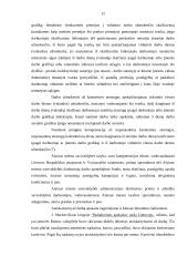 Atsiskaitymų už darbą apskaita Alytaus miesto savivaldybėje 11 puslapis