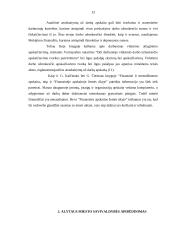 Atsiskaitymų už darbą apskaita Alytaus miesto savivaldybėje 13 puslapis