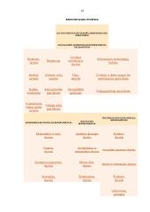 Atsiskaitymų už darbą apskaita Alytaus miesto savivaldybėje 14 puslapis