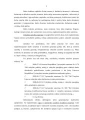 Atsiskaitymų už darbą apskaita Alytaus miesto savivaldybėje 5 puslapis