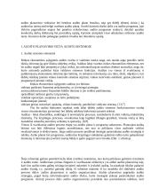 Audito planavimo vieta audito sistemoje 2 puslapis