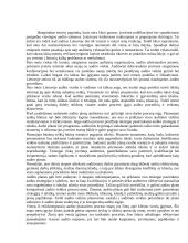 Audito planavimo vieta audito sistemoje 14 puslapis