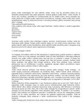 Audito planavimo vieta audito sistemoje 3 puslapis