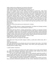 Audito planavimo vieta audito sistemoje 4 puslapis