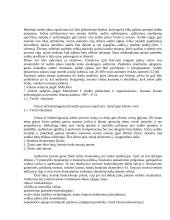 Audito planavimo vieta audito sistemoje 7 puslapis